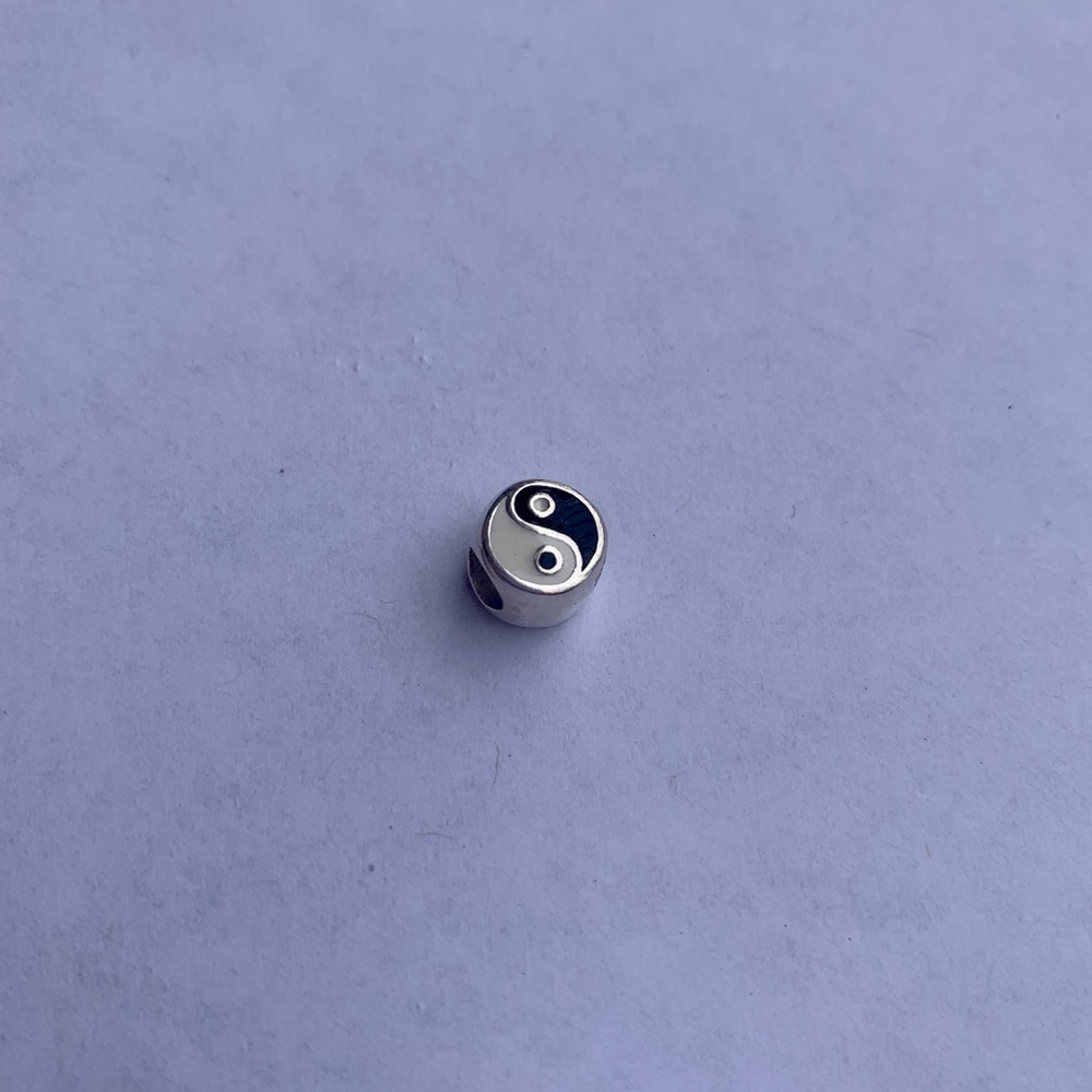 Off Brand Pandora Charm